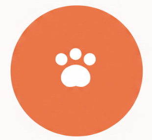 Nur's Pet Care